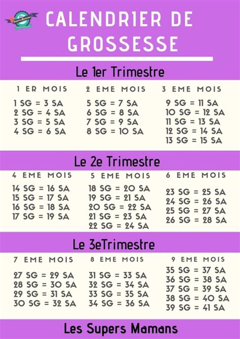 calcul grossesse semaine par semaine.